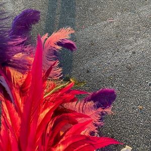 Assorted Faux Feathers